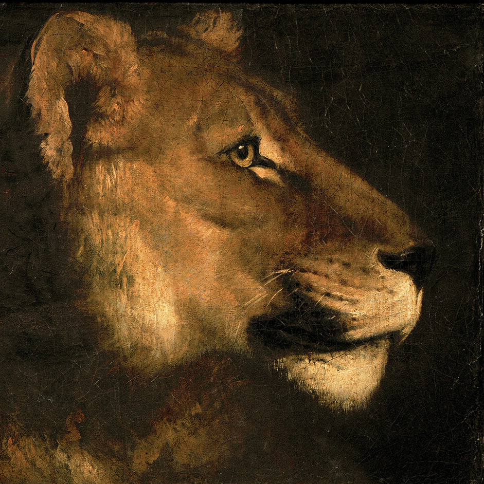 Théodore Géricault, Head of a Lioness, ca. 1819–20, oil on canvas, 215/8 × 255/8 in. (55 × 65 cm). Musée du Louvre, Paris (artwork in the public domain; photograph by Erich Lessing, provided by Art Resource, NY)