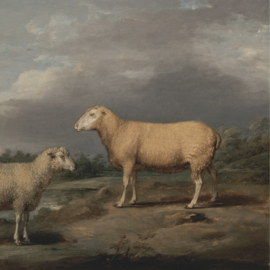 James Ward, born in London, England, 1769; active in England; died in Cheshunt, England, 1859, Ryelands Sheep, the King's Ram, the King's Ewe and Lord Somerville's Wether, between 1801 and 1807, Oil on panel, Yale Center for British Art, Paul Mellon Collection, B1981.25.665.