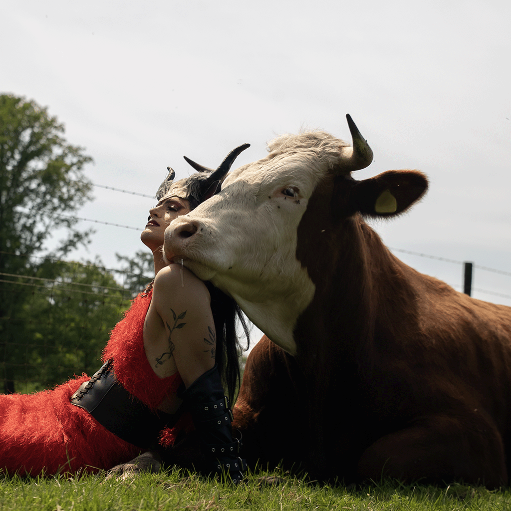 Piet & Soya the Cow. Photo by De Transketeers