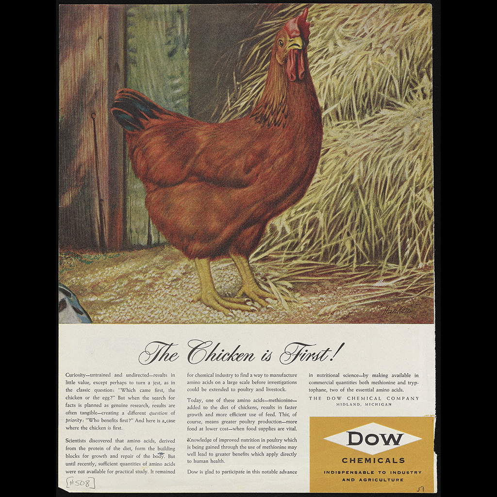 Color print advertisement for synthetic methionine and other amino acids manufactured and sold by the Dow Chemical Company for use in pharmaceuticals and medical and nutritional research. The advertisement features an illustration of a chicken standing in a barn, with accompanying text detailing the use of methionine in poultry feed and Dow's efforts to meet the growing demand for methionine and other amino acids to aid nutritional science research. Dow Chemical Company. “The Chicken Is First!,” 1951. Advertisements from the Dow Chemical Historical Collection, Box 9. Science History Institute. Philadelphia. https://digital.sciencehistory.org/works/h46bh2d.